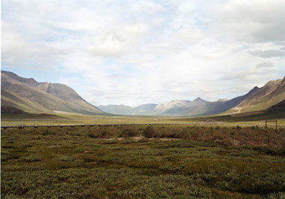 sambunaris