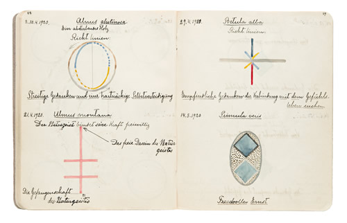 Klint Notebooks Flowers, Mosses and Lichens