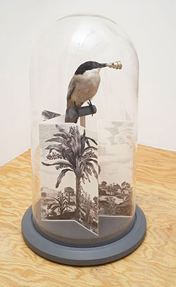 bird in the bell jar